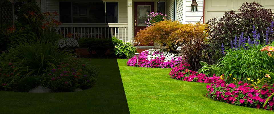 Raleigh Landscapers