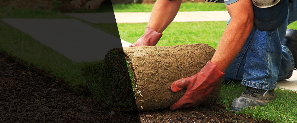 Raleigh Landscapers